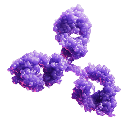 Infographic showing how LEQEMBI clears amyloid plaque and protofibrils to slow Alzheimer’s disease progression.